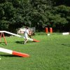 agility 2011-08